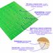 3D панель самоклеюча цегла Зелений 700х770х5мм (013-5) SW-00000149 SW-00000149 фото 2