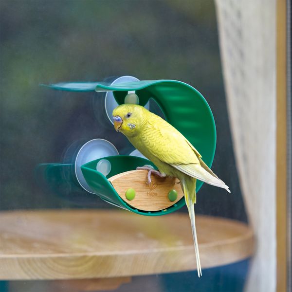 Годівниця для птахів на вікно E5585 фото